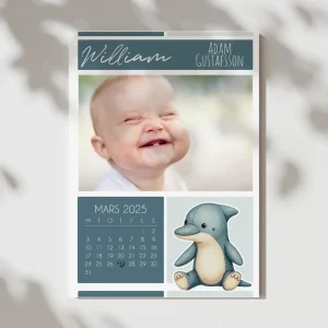 Delfin | Personlig doptavla med foto