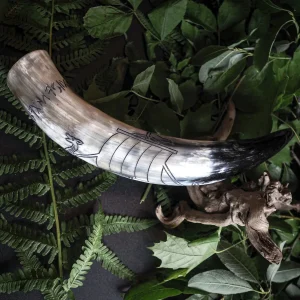 Graverat horn, Vikingaskepp