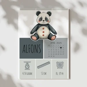 Panda | Födelsetavla