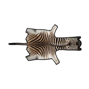 Zebraskinn | Premiumkvalitet | Sydafrika